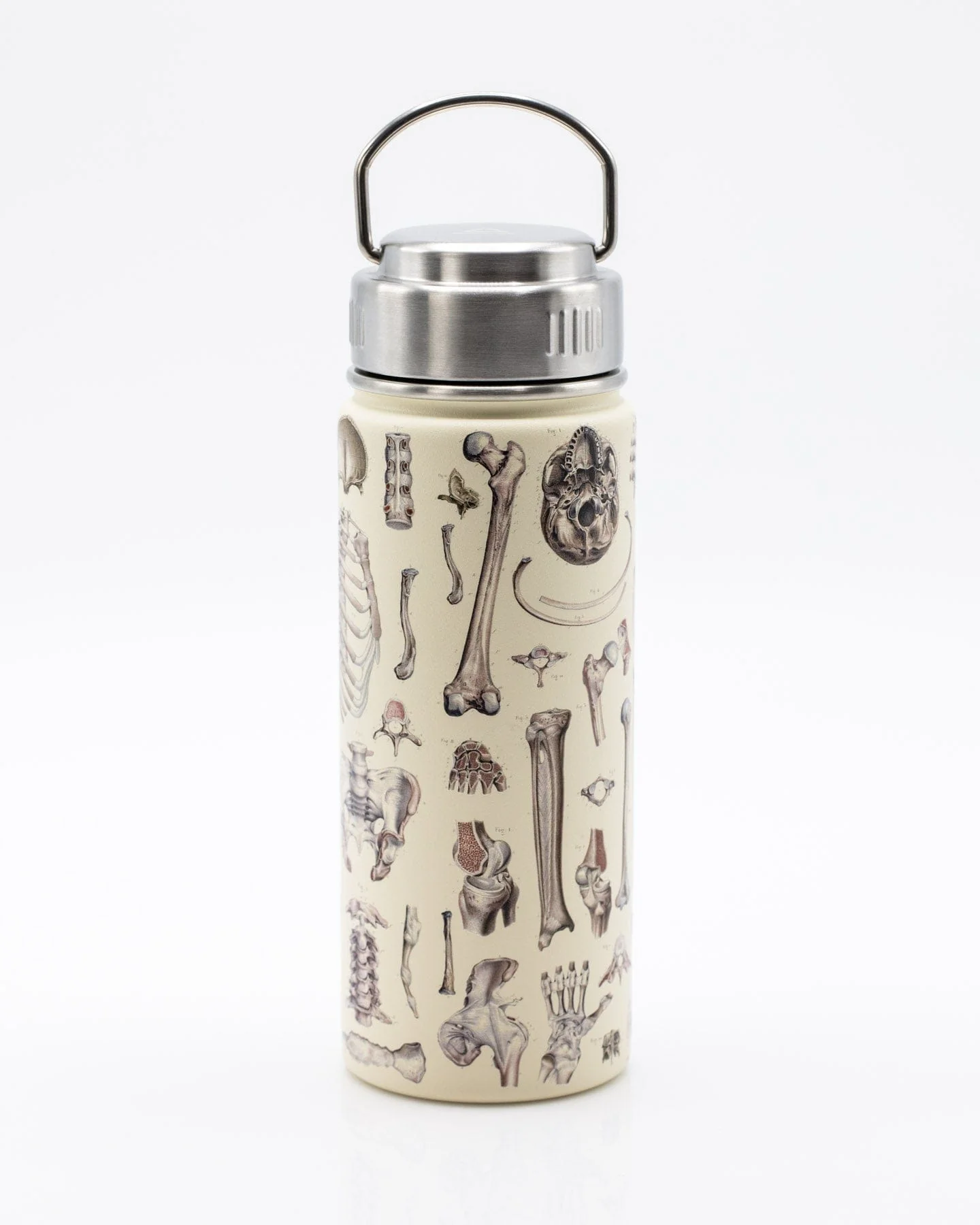 Skeleton 18 oz Steel Bottle - Image 2