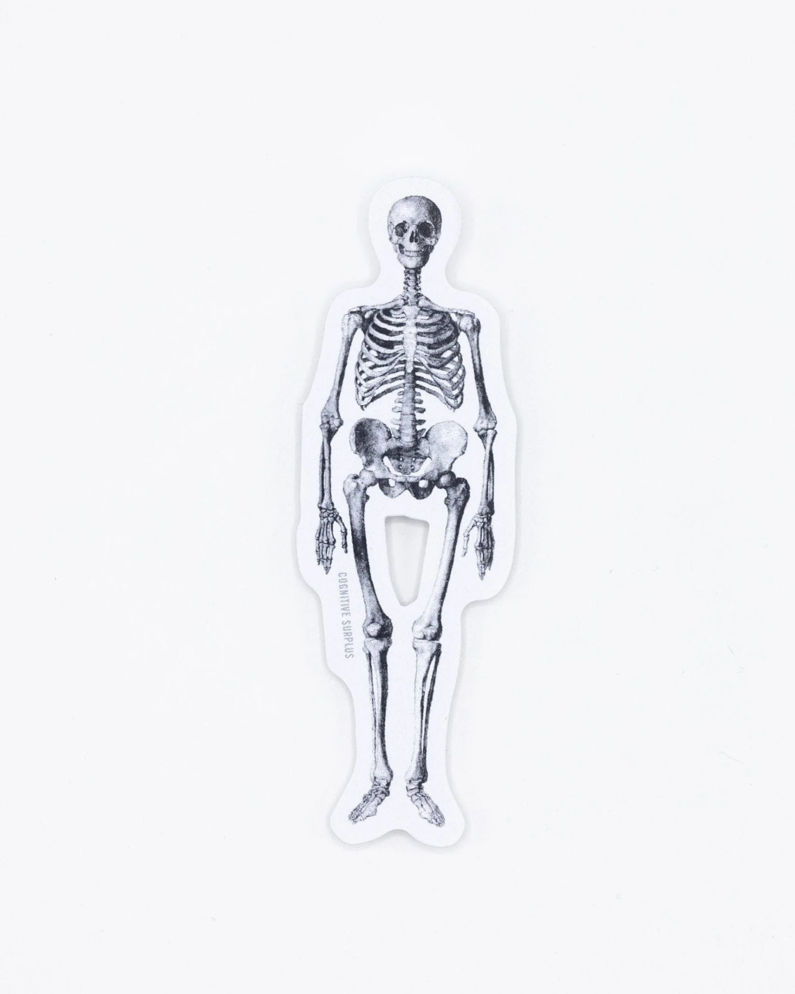 Skeleton Sticker - Image 2