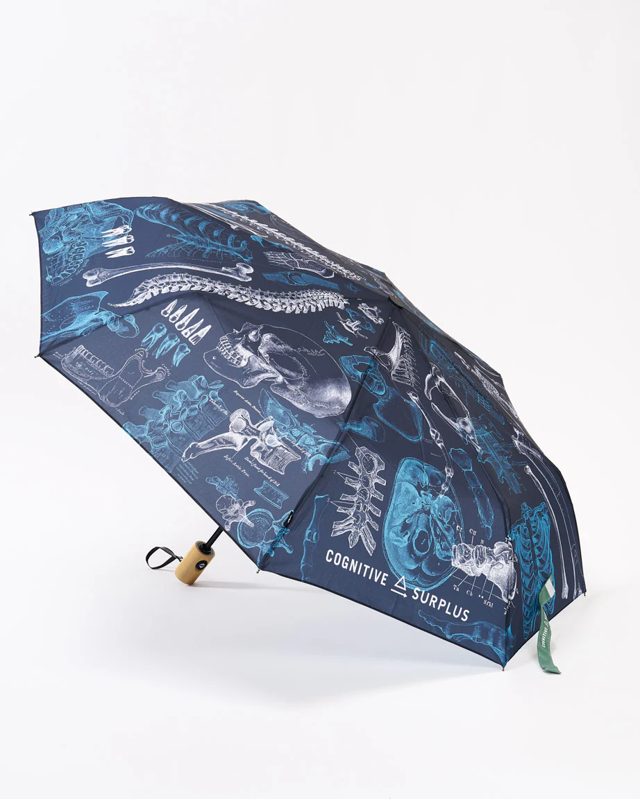 Skeleton Umbrella