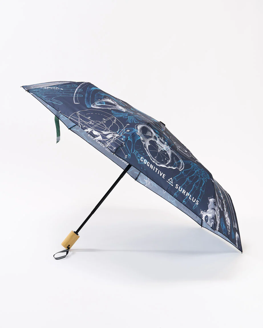 Skeleton Umbrella - Image 2