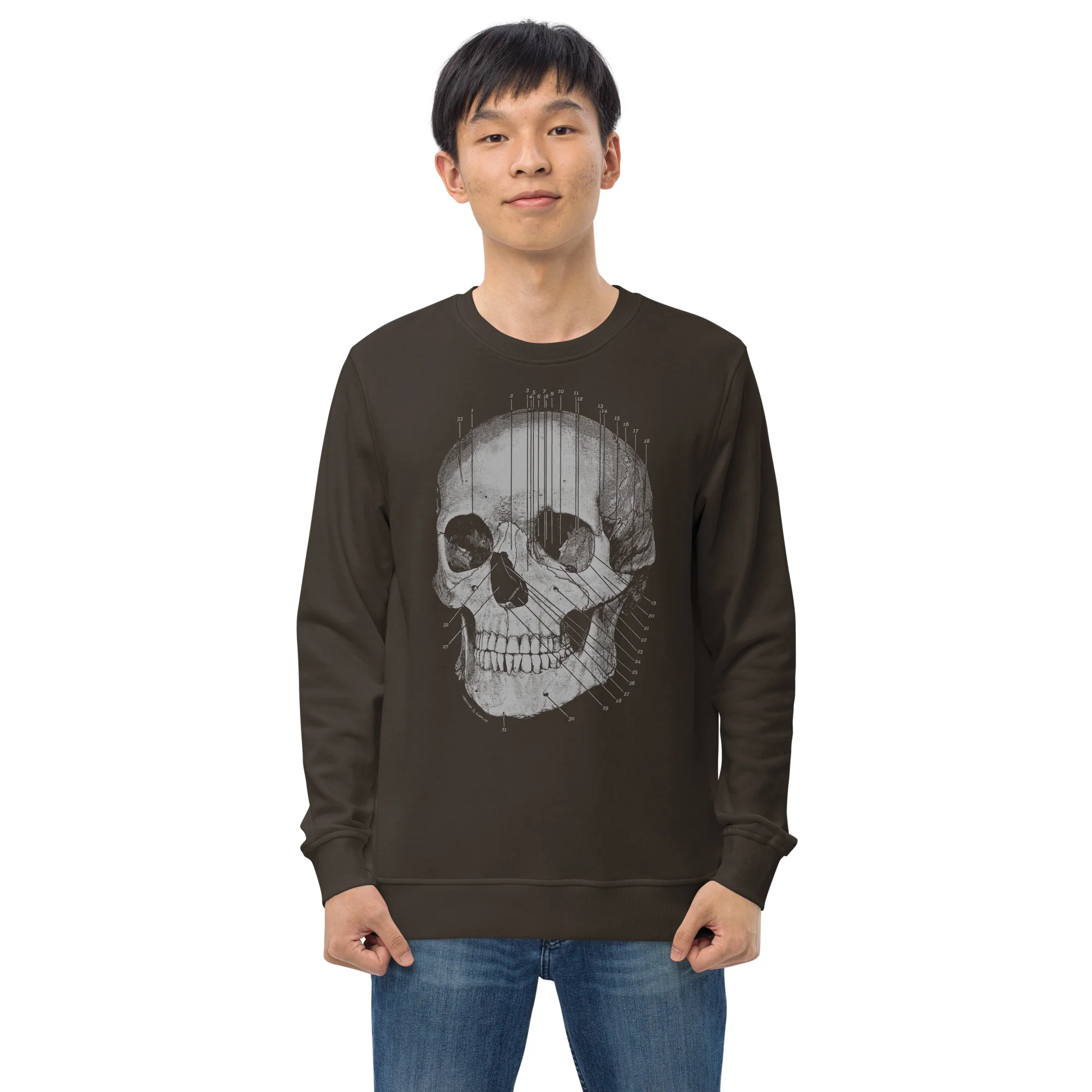 Skull Anatomy Sweatshirt - Organic - Image 5