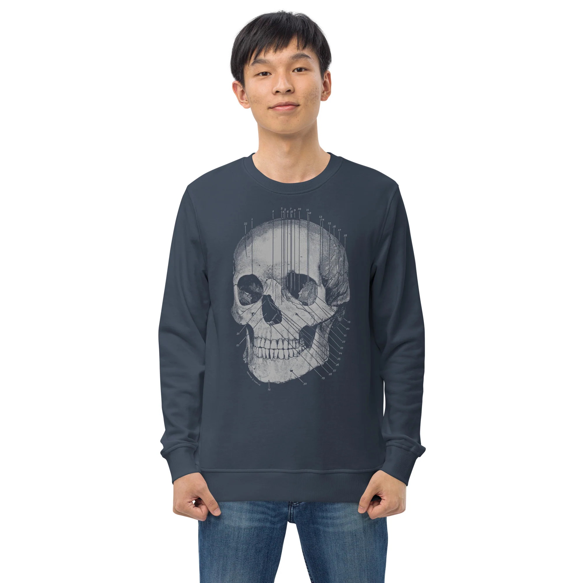 Skull Anatomy Sweatshirt - Organic - Image 6