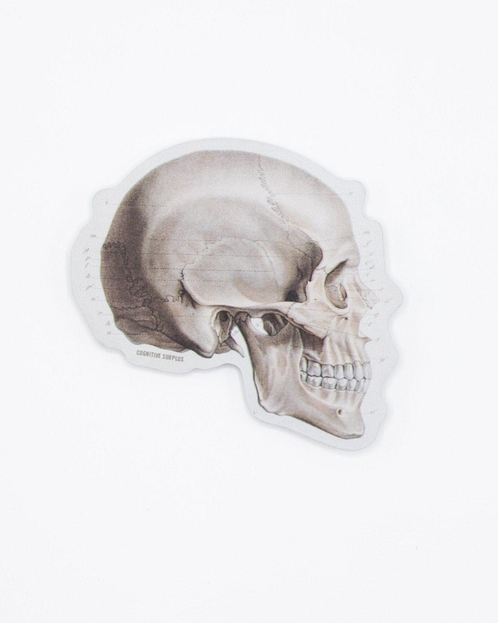 Skull Profile Sticker - Image 2