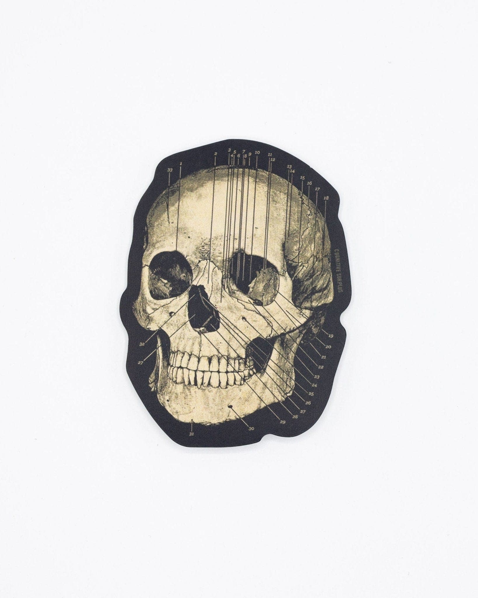 Skull Sticker - Image 2