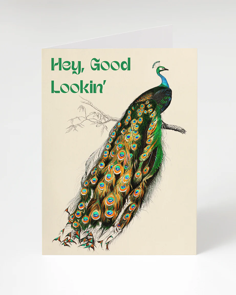 Good Looking Peacock Greeting Card
