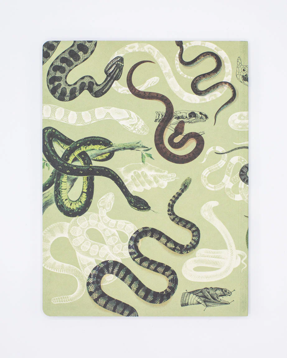 Snakes Softcover Notebook - Dot Grid - Image 2