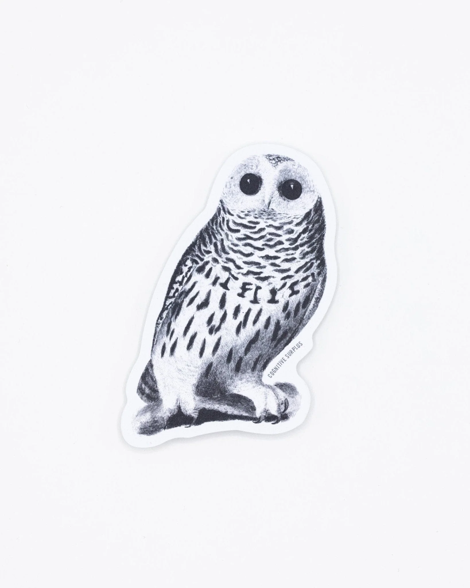 Snowy Owl Sticker - Image 2