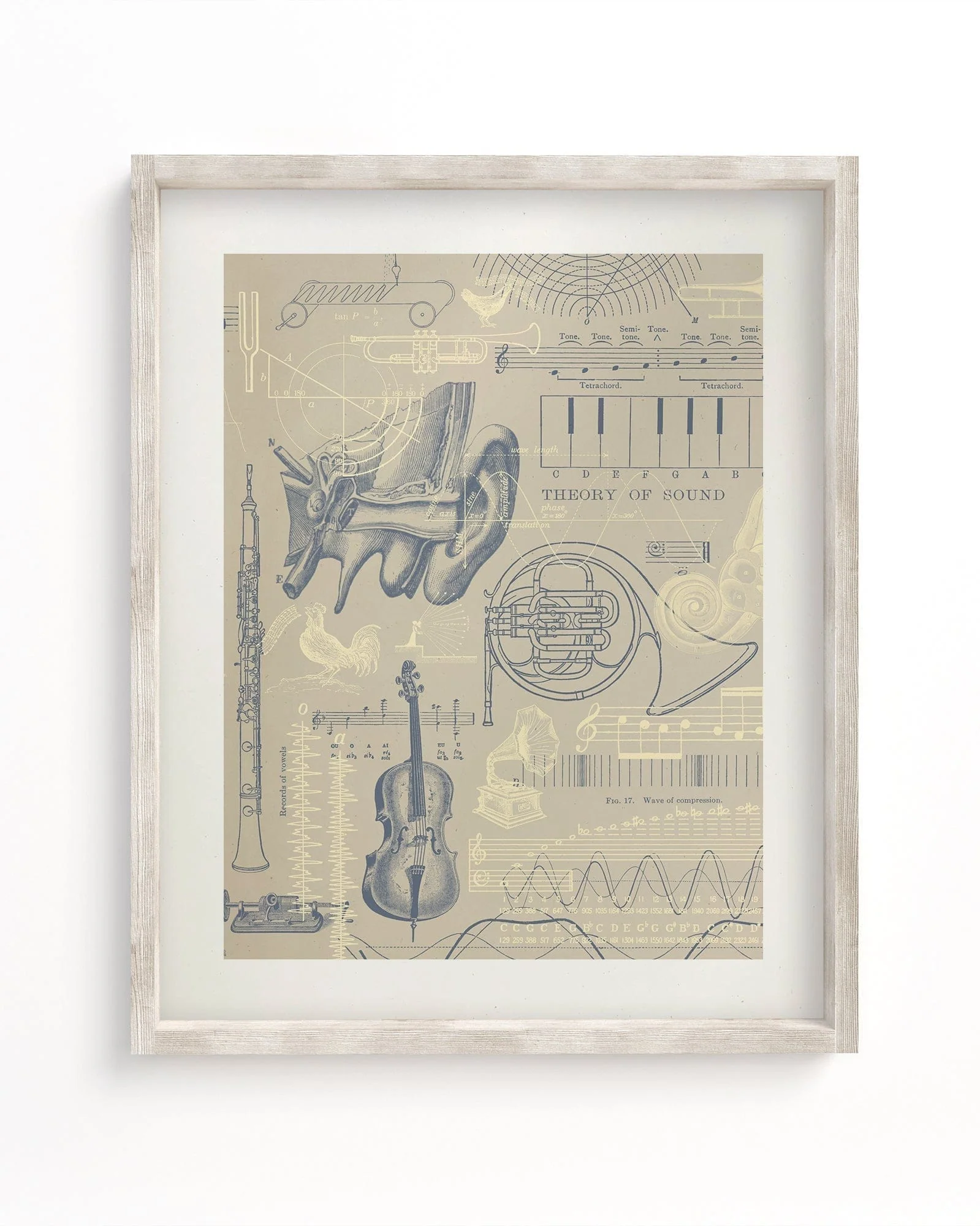 Sound & Hearing Scientific Illustration Museum Print