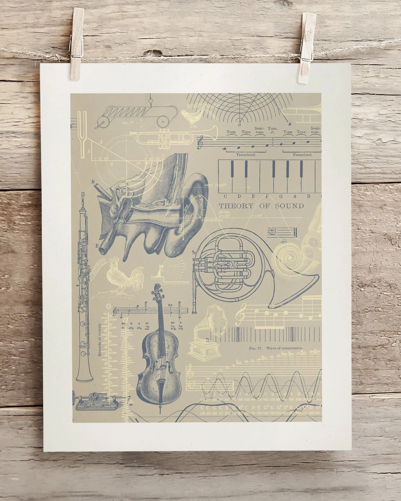 Sound & Hearing Scientific Illustration Museum Print - Image 2