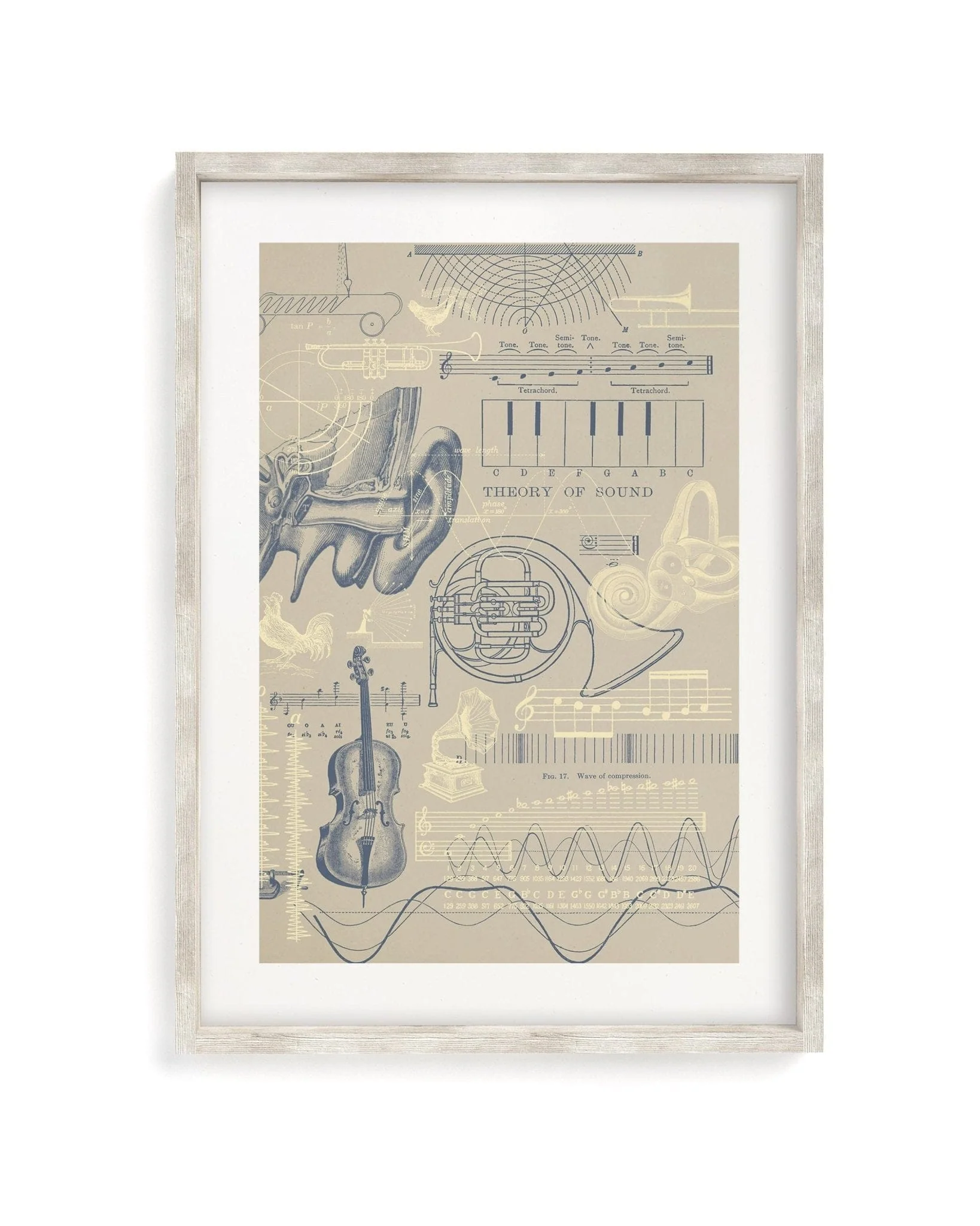 Sound & Hearing Scientific Illustration Museum Print - Image 4