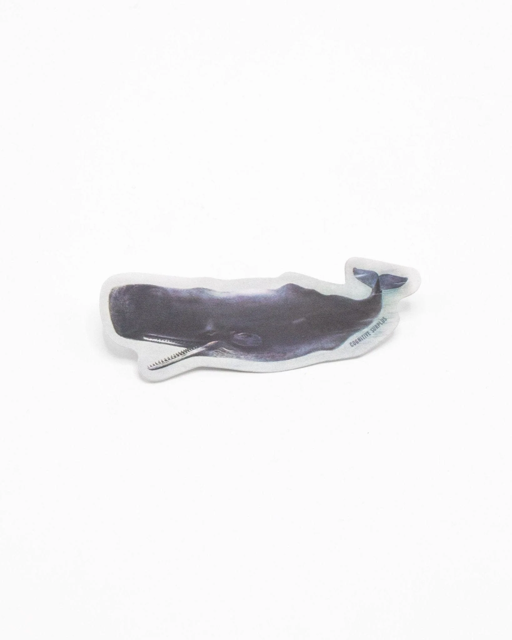 Sperm Whale Sticker