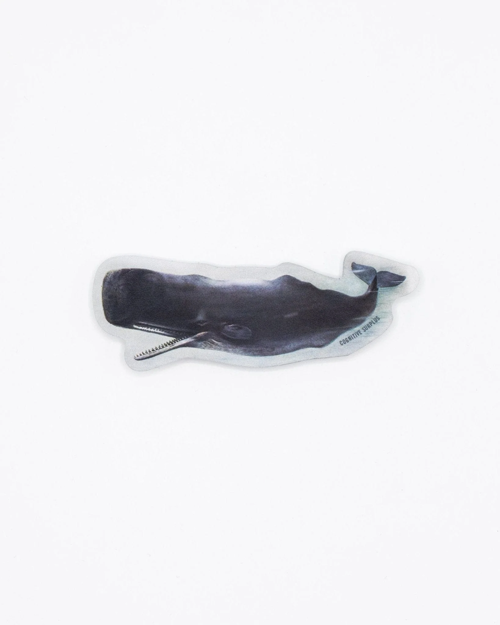Sperm Whale Sticker - Image 2