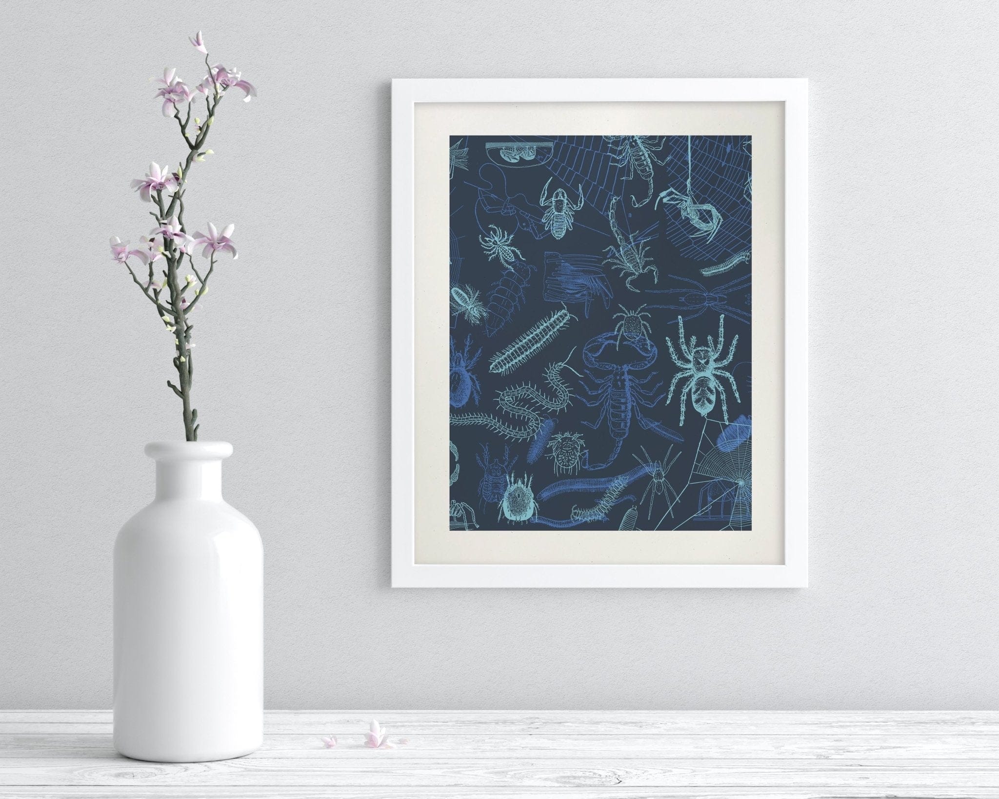 Spiders Scientific Illustration Museum Print - Image 3
