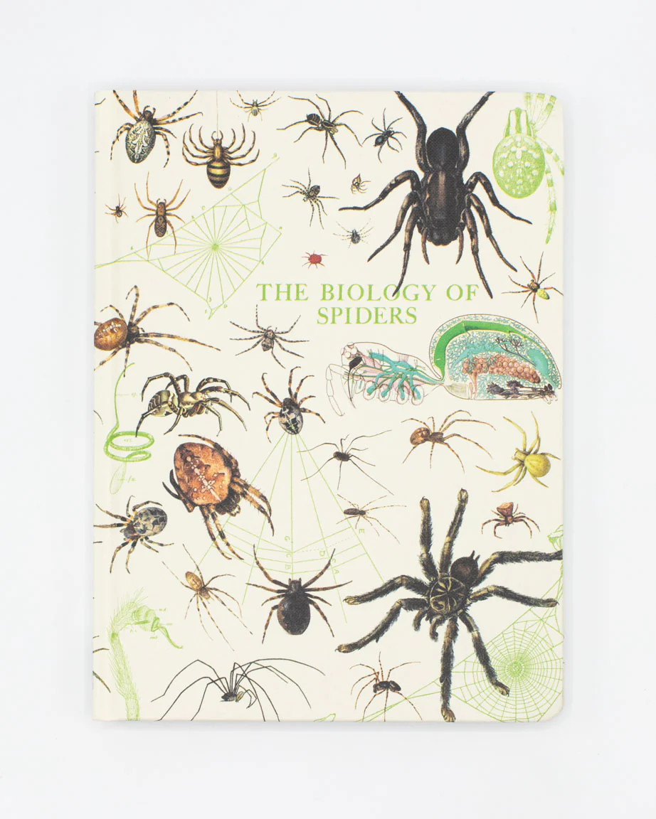 Spiders Hardcover Notebook - Lined/Grid