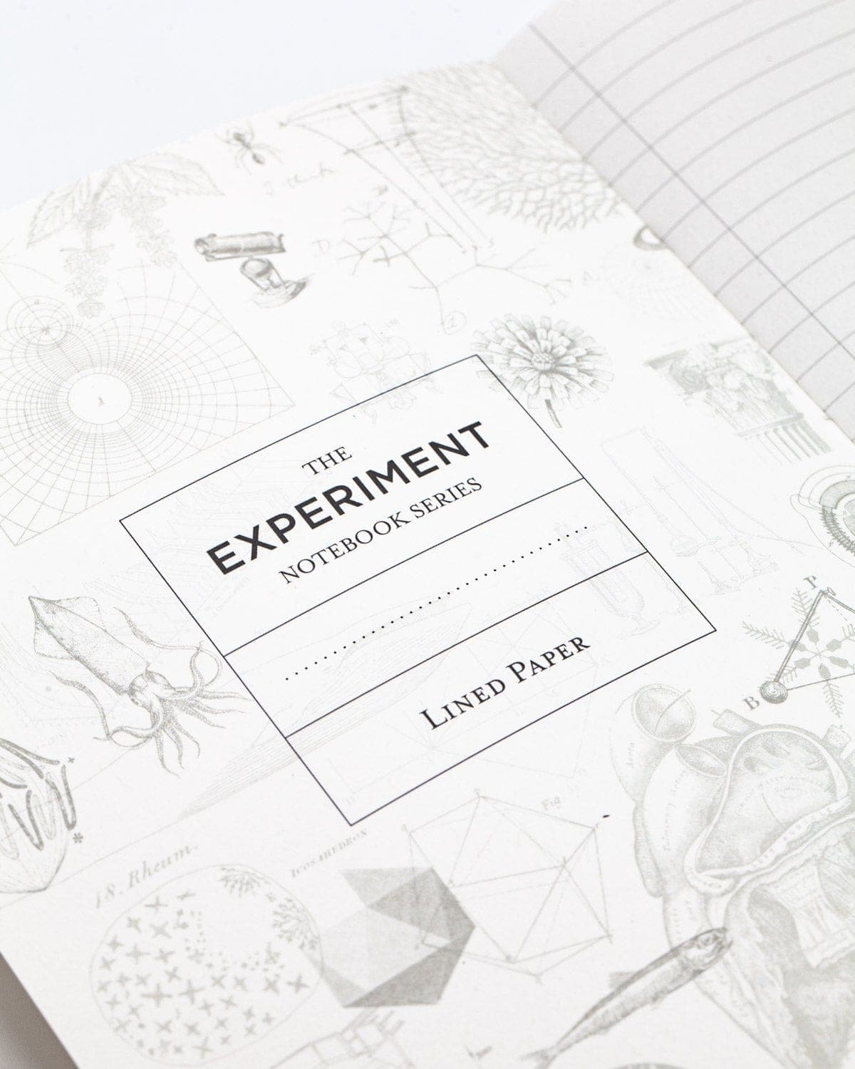Star Map Softcover Notebook - Lined - Image 3