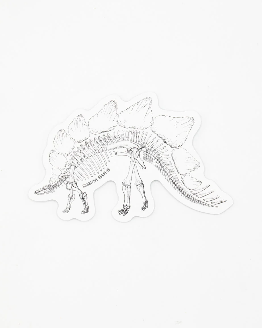 Stegosaurus Skeleton Sticker - Image 2