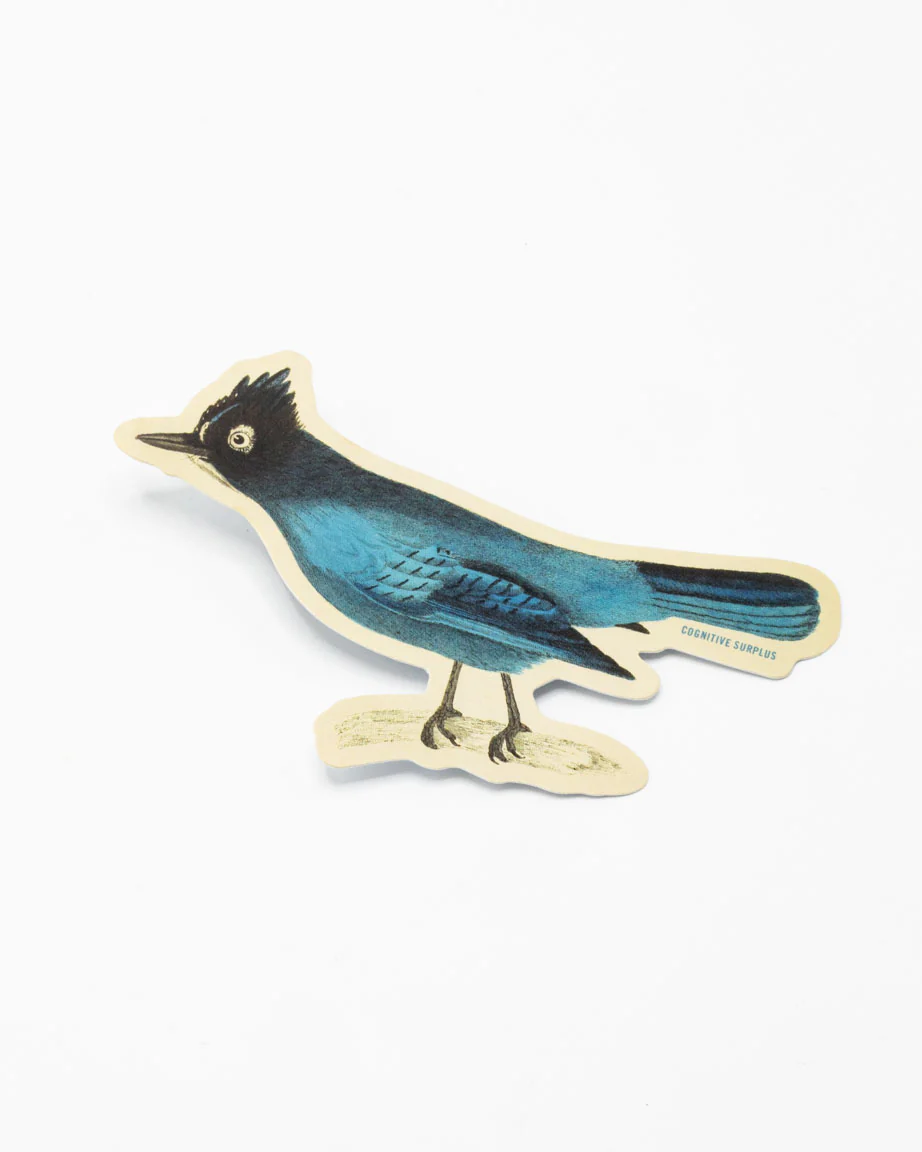 Stellar Jay Sticker