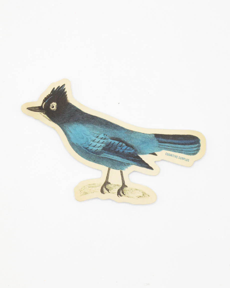 Stellar Jay Sticker - Image 2