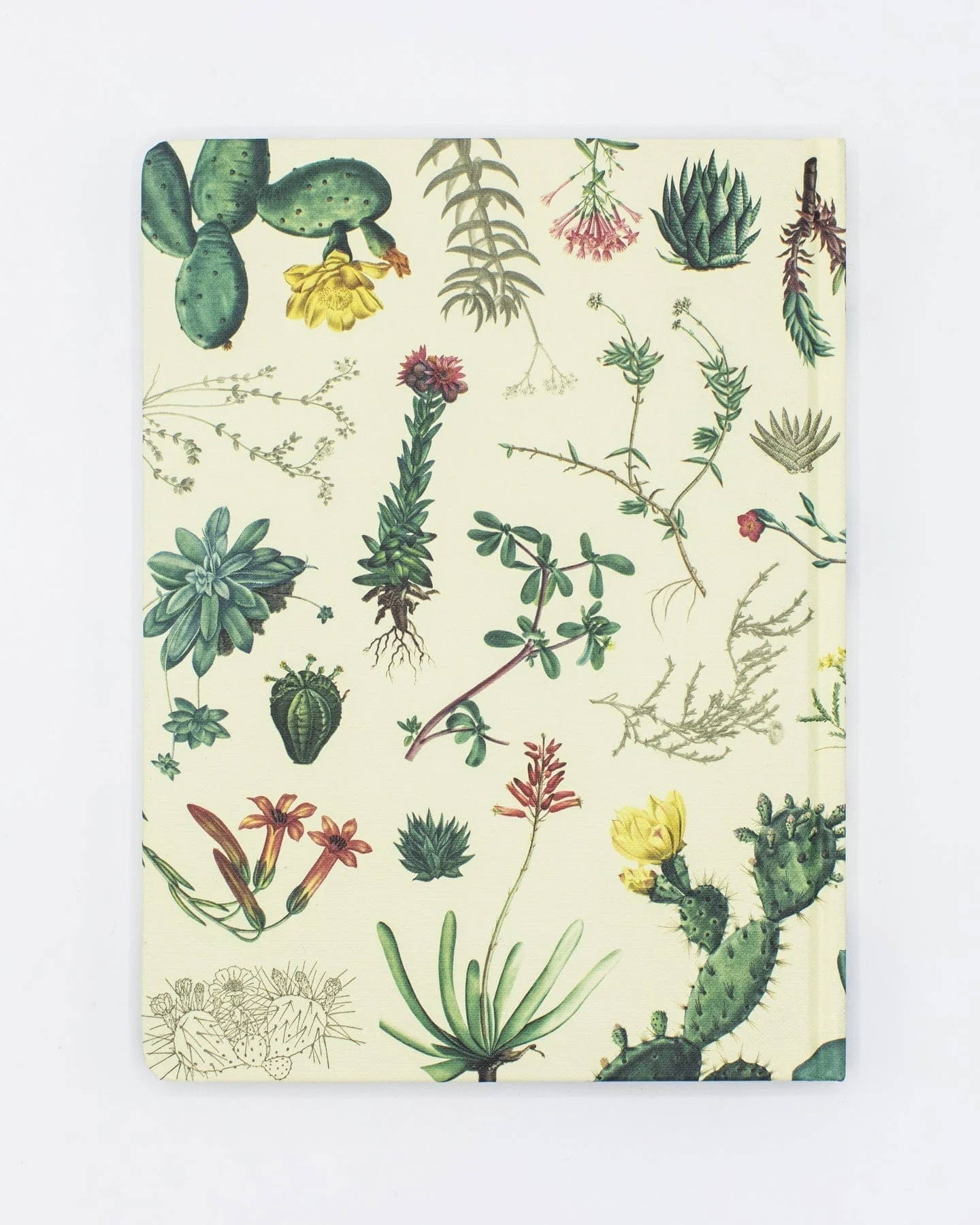 Succulents Hardcover - Blank - Image 2