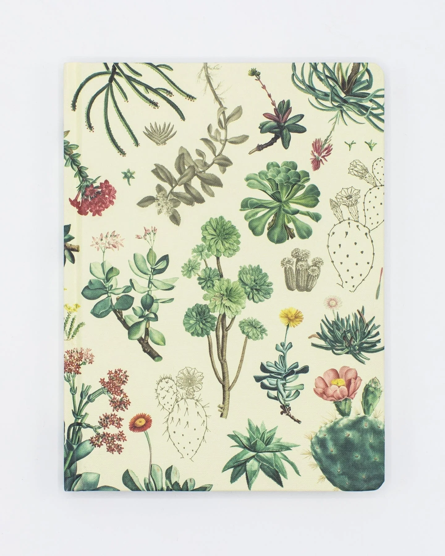 Succulents Hardcover Notebook - Dot Grid