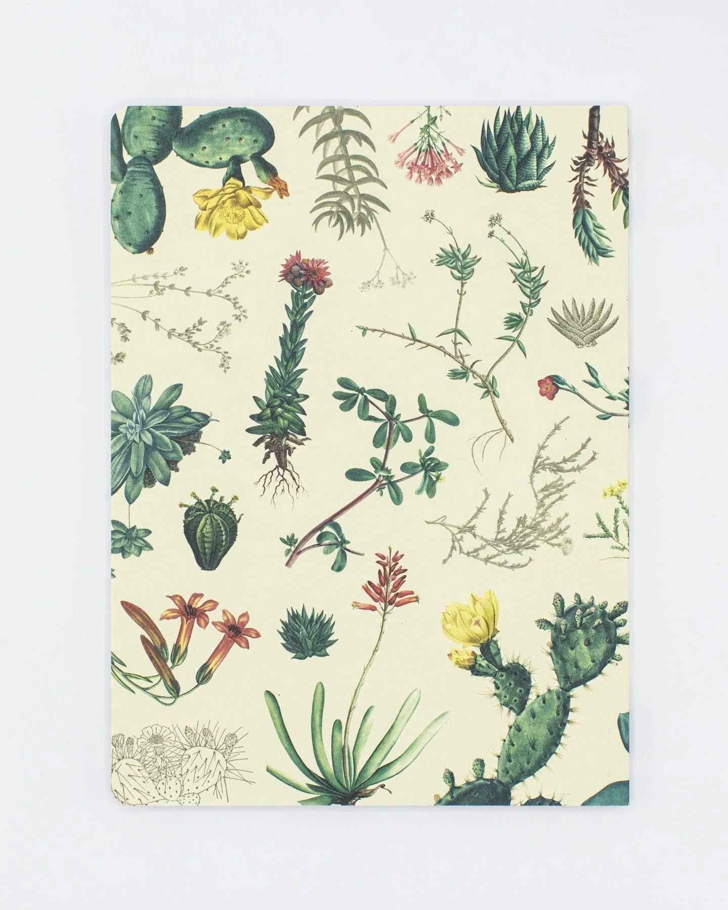 Succulents Softcover Notebook - Lined - Image 2