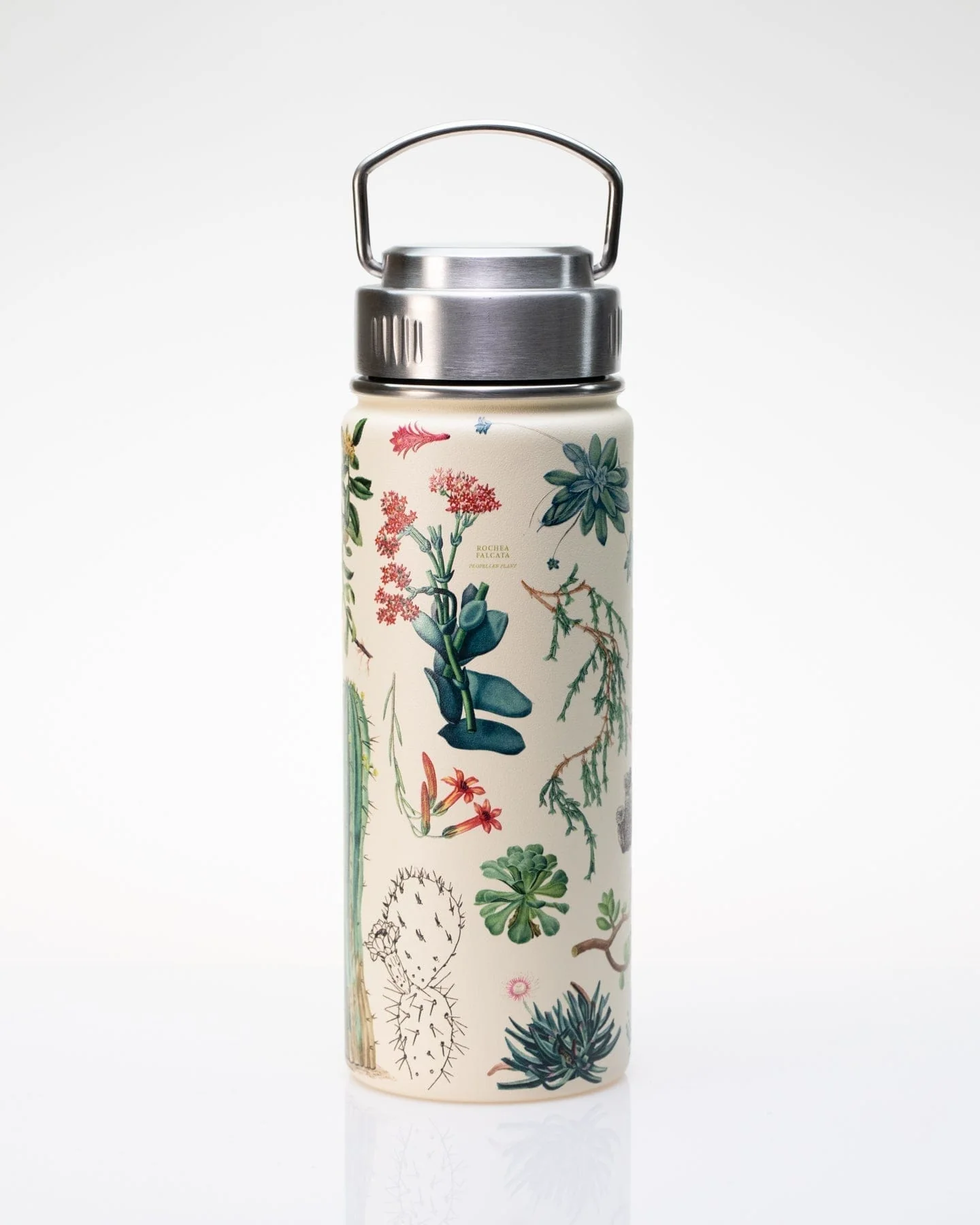 Succulents 18 oz Steel Bottle - Image 2