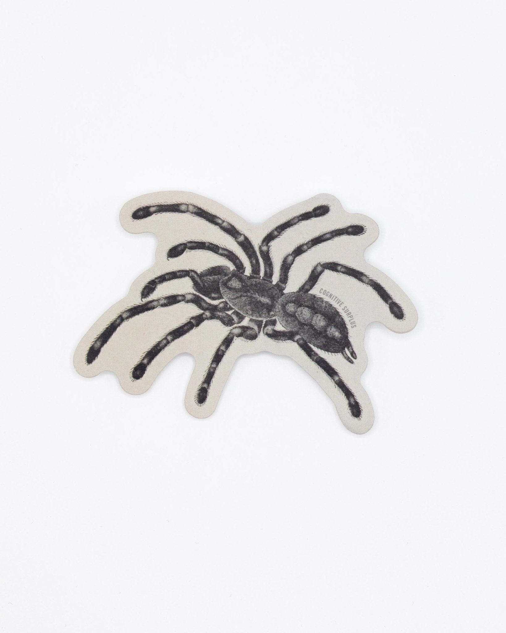 Tarantula Spider Sticker - Image 2