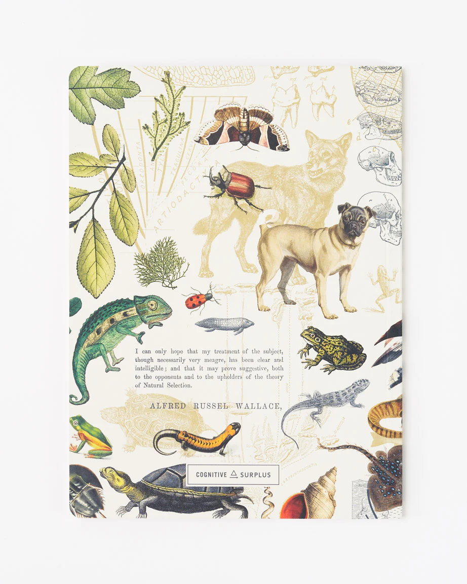 Theory of Evolution Softcover Notebook - Lined - Image 2
