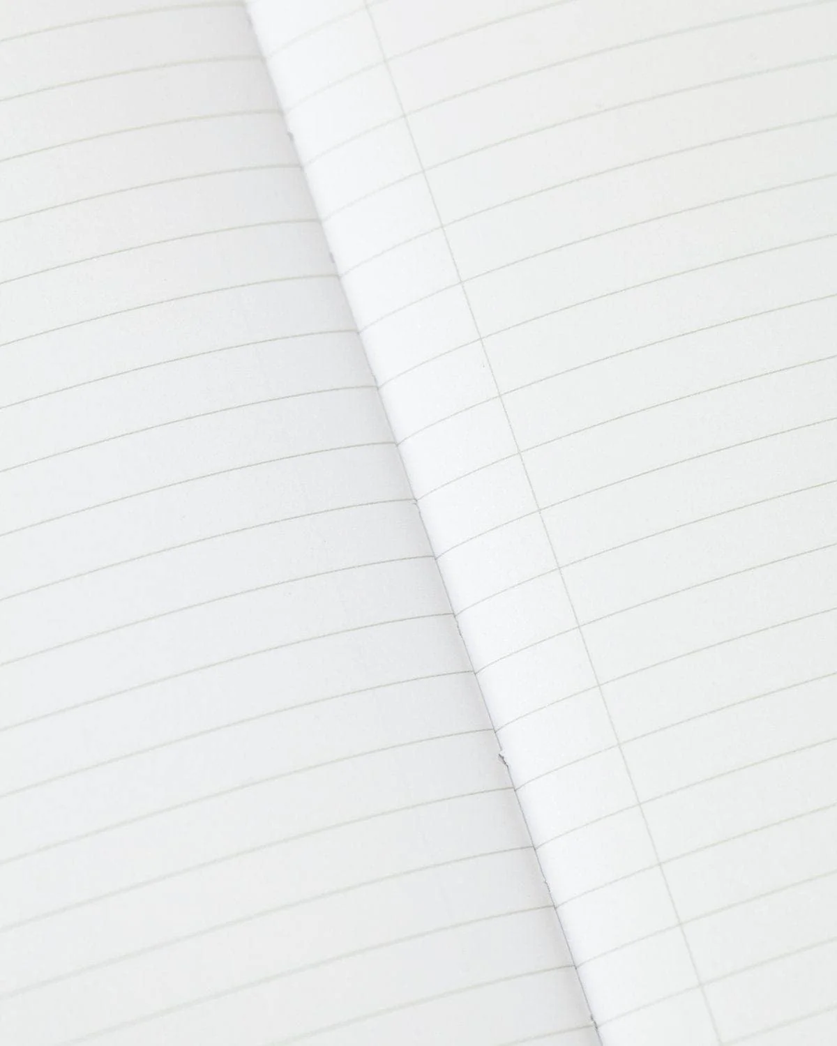 Evolution Softcover Notebook - Lined - Image 3