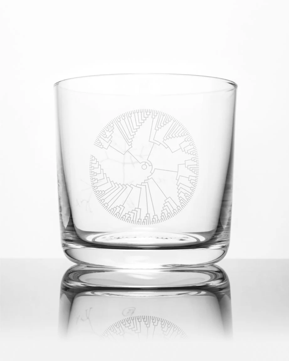 Tree of Life Whiskey Glass - Image 3