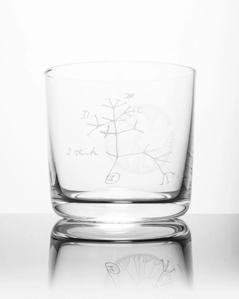 Tree of Life Whiskey Glass - Image 5