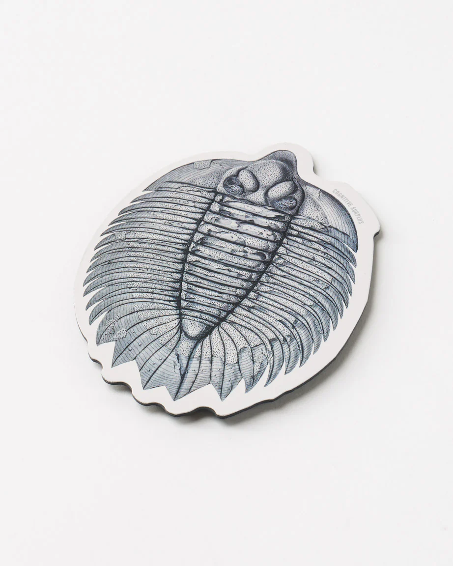 Trilobite Fossil Magnet