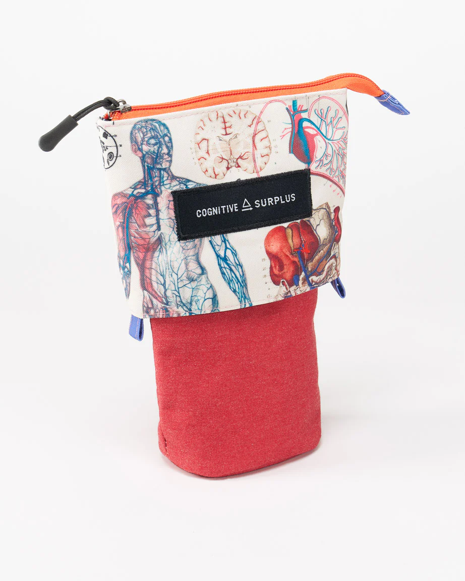 Human Anatomy Zipper Bags - Image 7