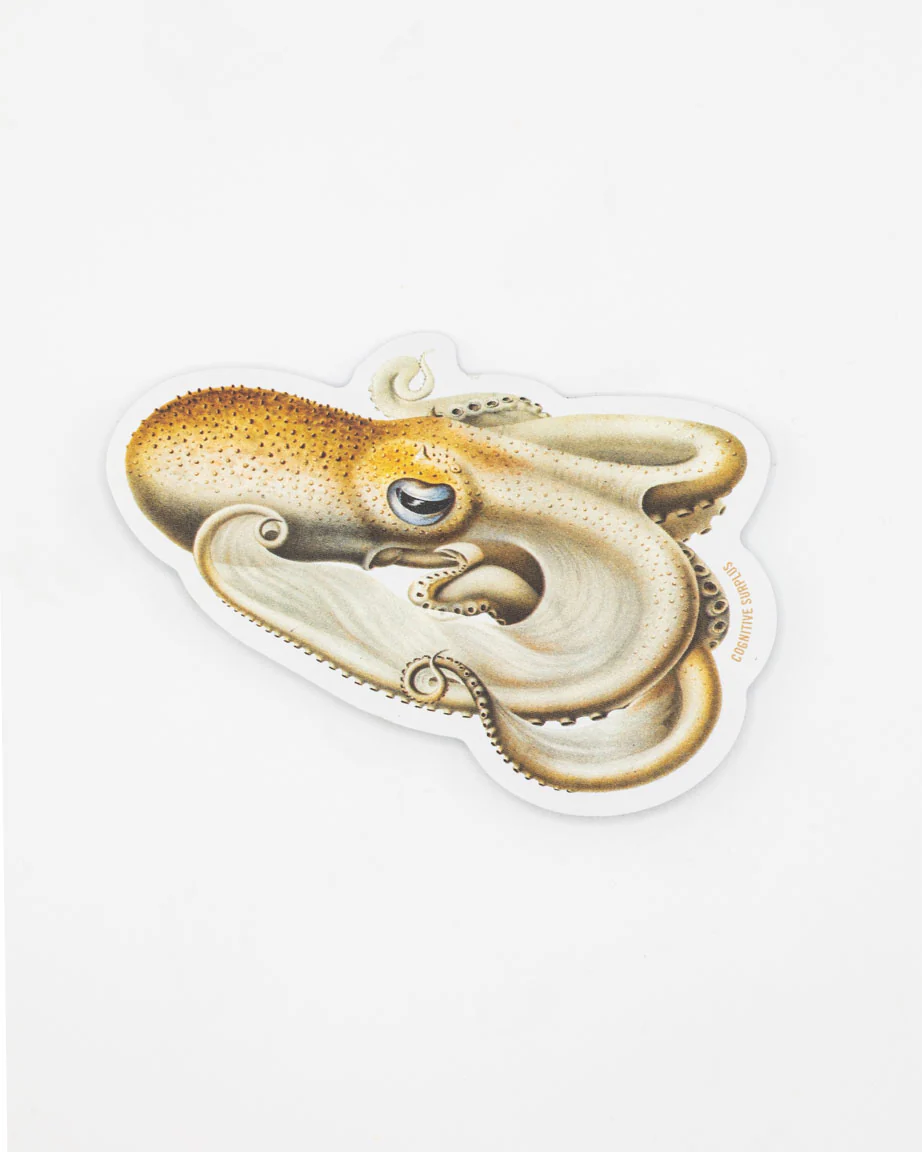 Velondona Togata Octopus Sticker - Image 2