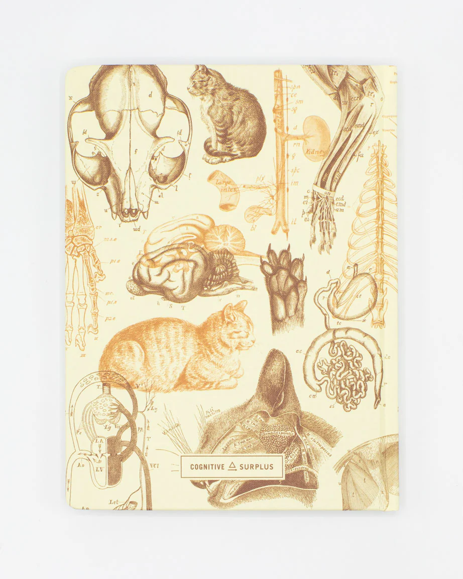 Veterinary Science: Cats Hardcover Notebook - Lined/Grid - Image 2