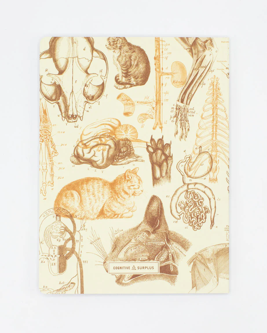 Veterinary Science: Cats Softcover Notebook - Lined - Image 2