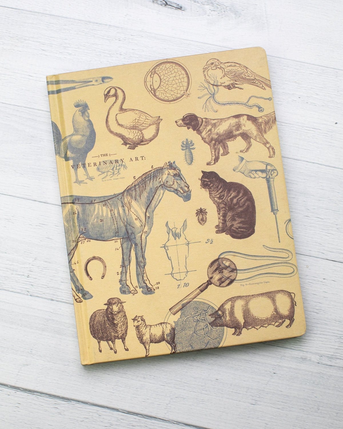 Veterinary Science Hardcover Notebook - Lined/Grid - Image 5