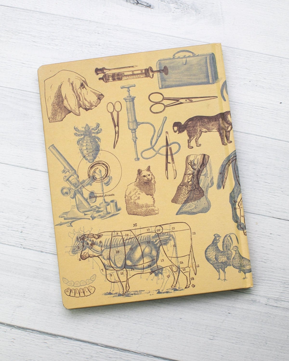 Veterinary Science Hardcover Notebook - Lined/Grid - Image 6