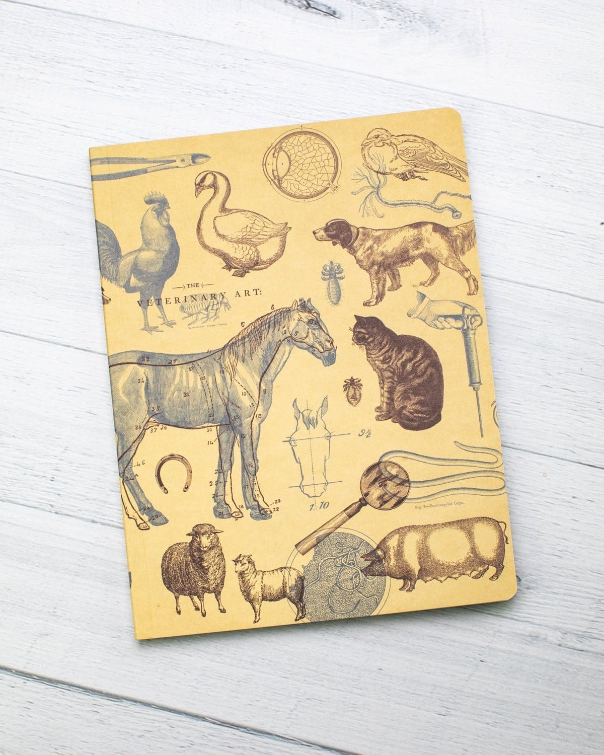 Veterinary Science Softcover Notebook - Dot Grid - Image 5