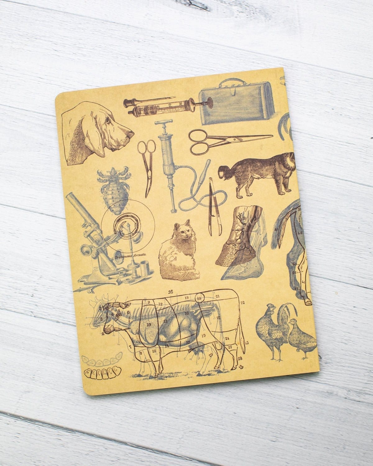 Veterinary Science Softcover Notebook - Dot Grid - Image 6