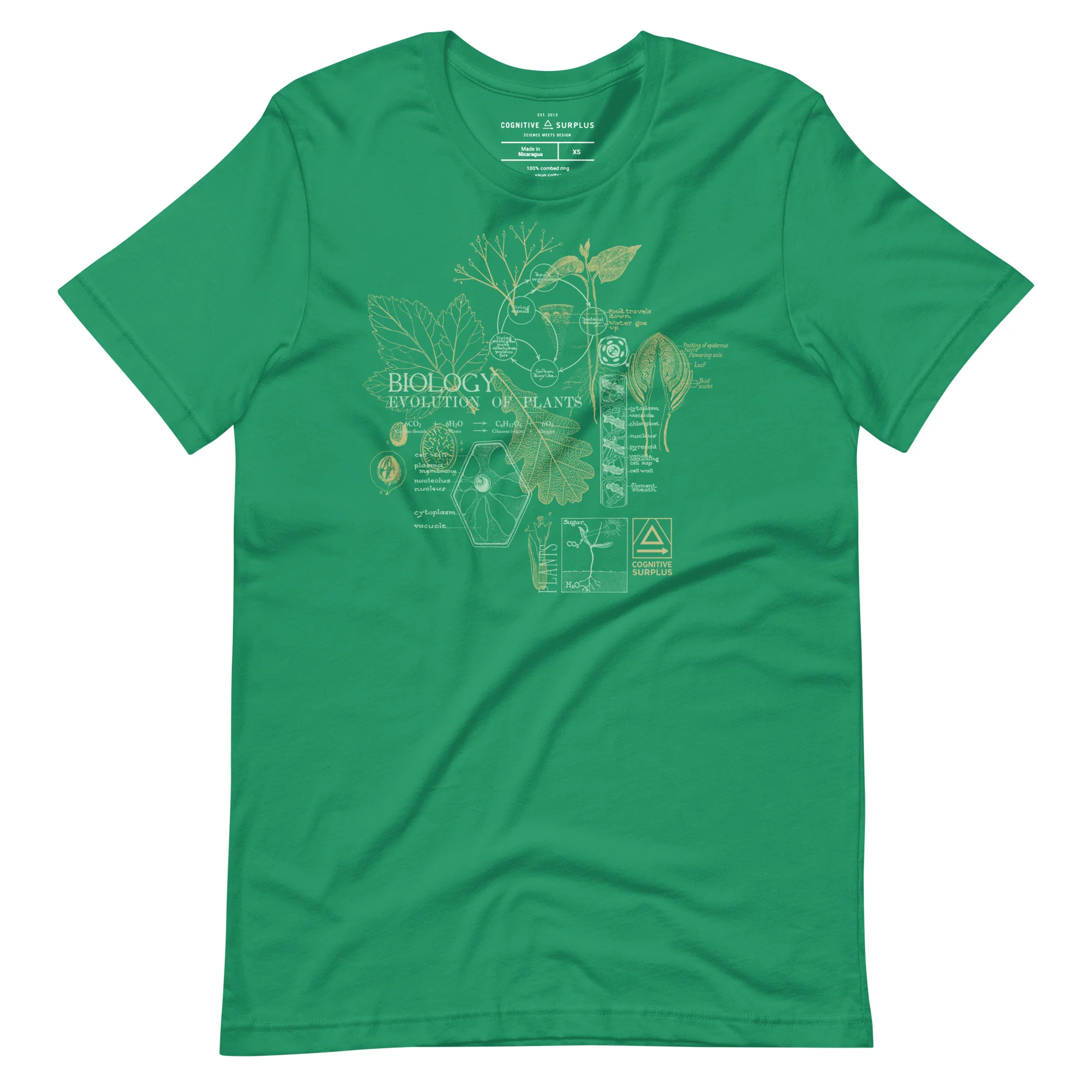 Vintage Botany Graphic Tee - Green - Image 3