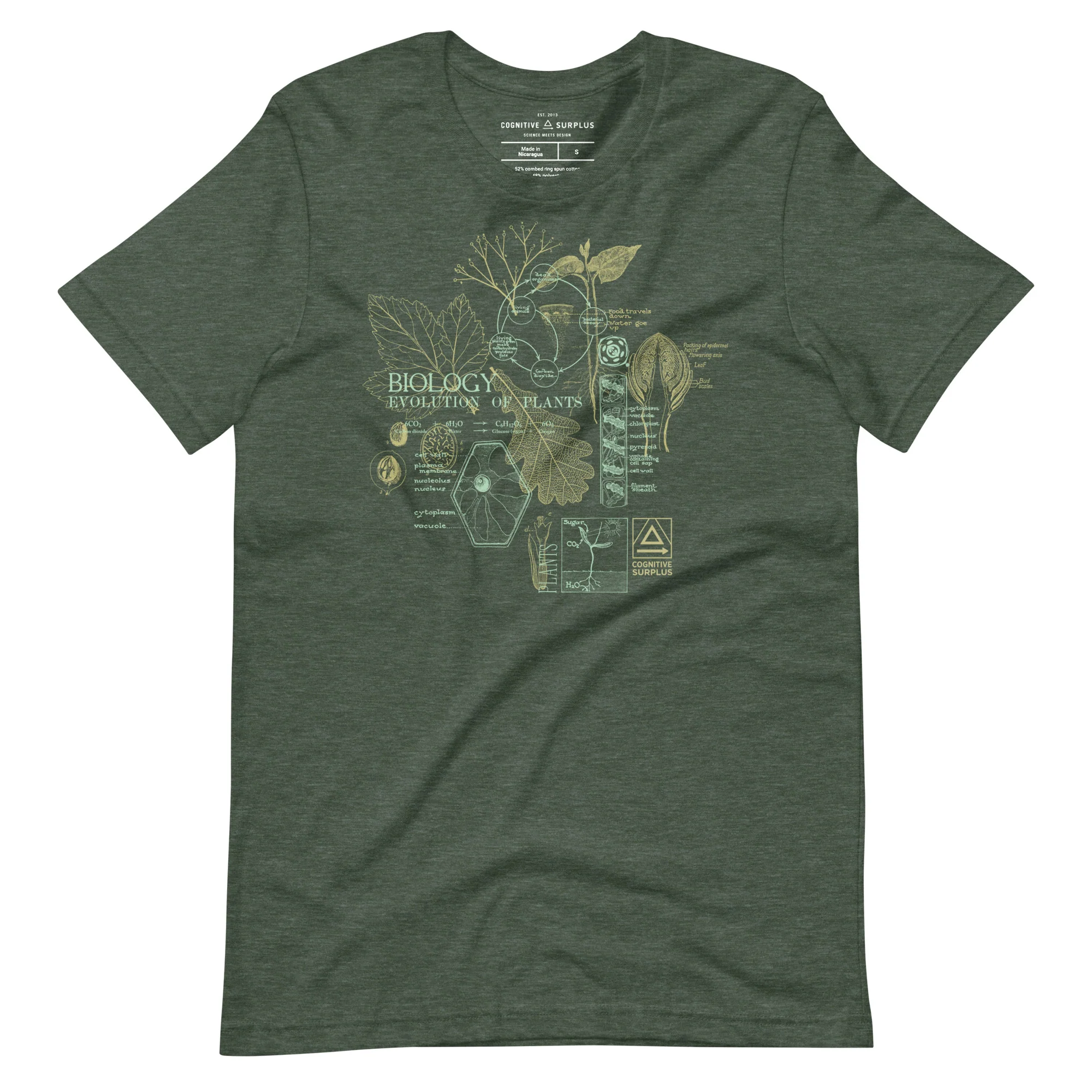 Vintage Botany Graphic Tee - Green - Image 4