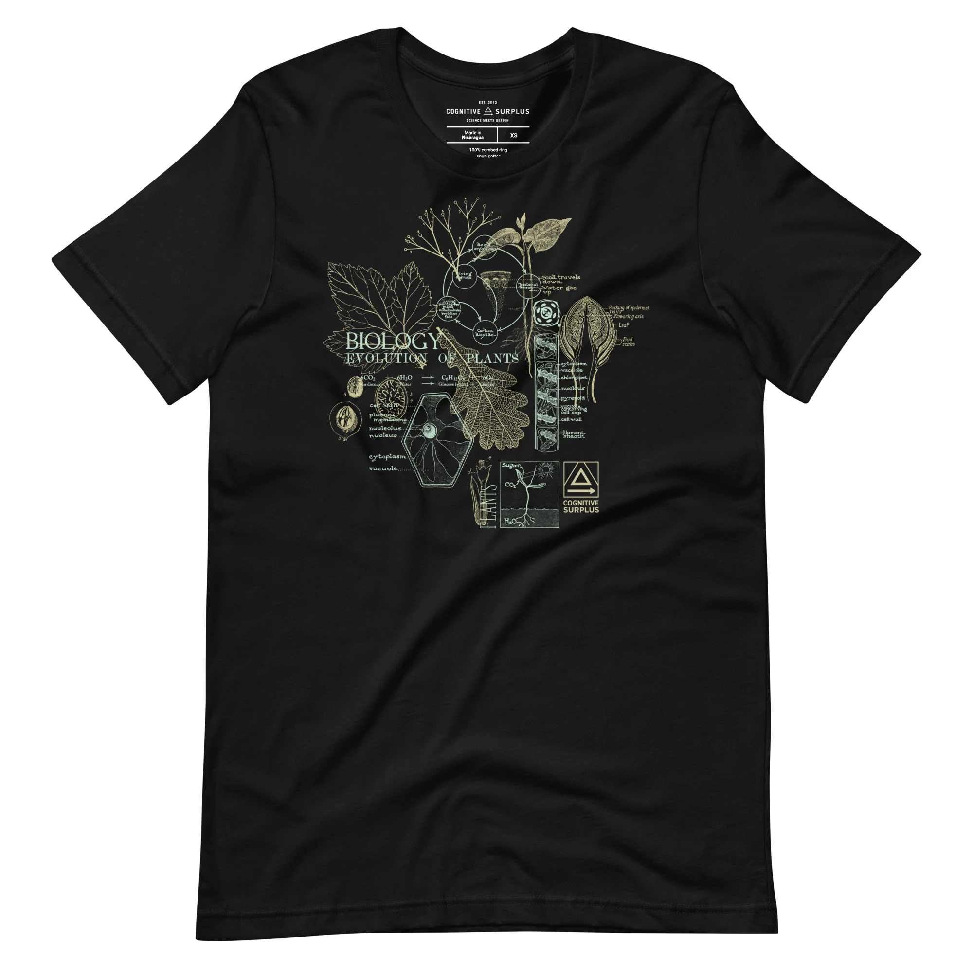 Vintage Botany Graphic Tee - Green - Image 5