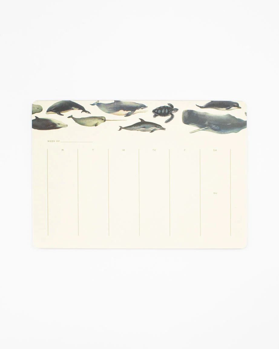Whales Notepads - Image 2