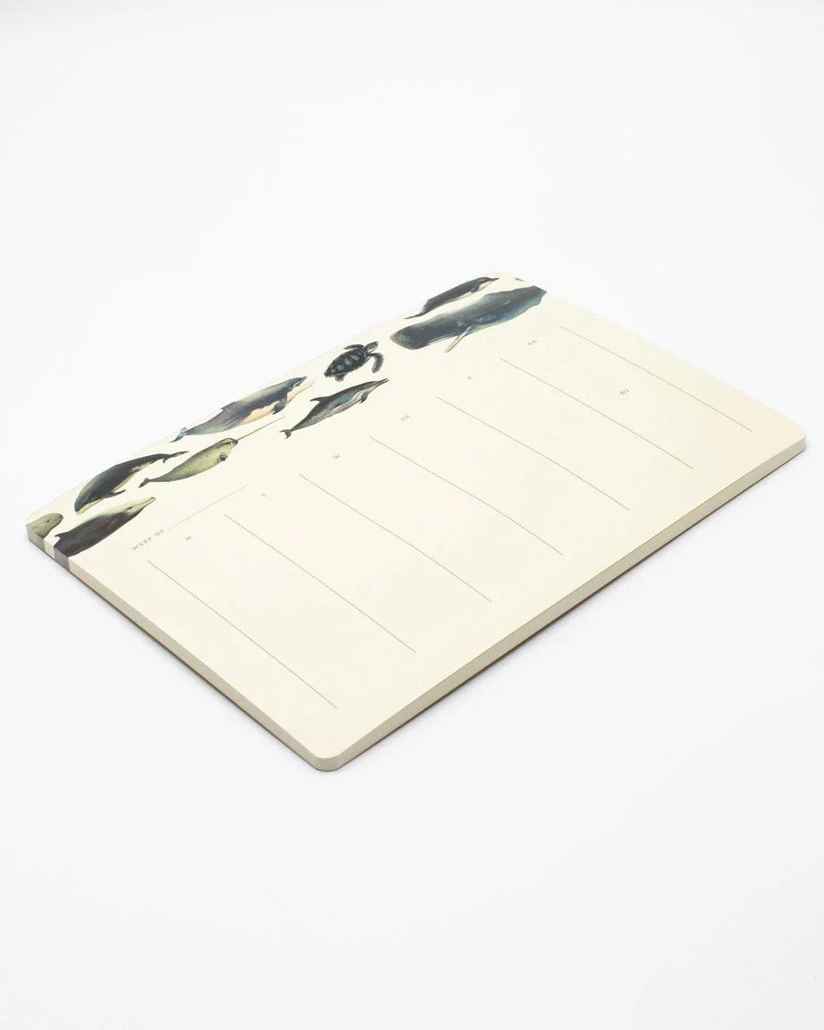 Whales Notepads - Image 3