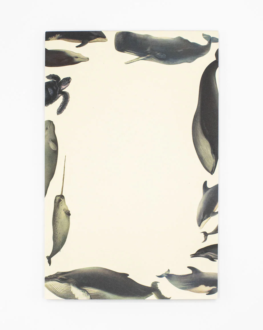 Whales Notepads - Image 6
