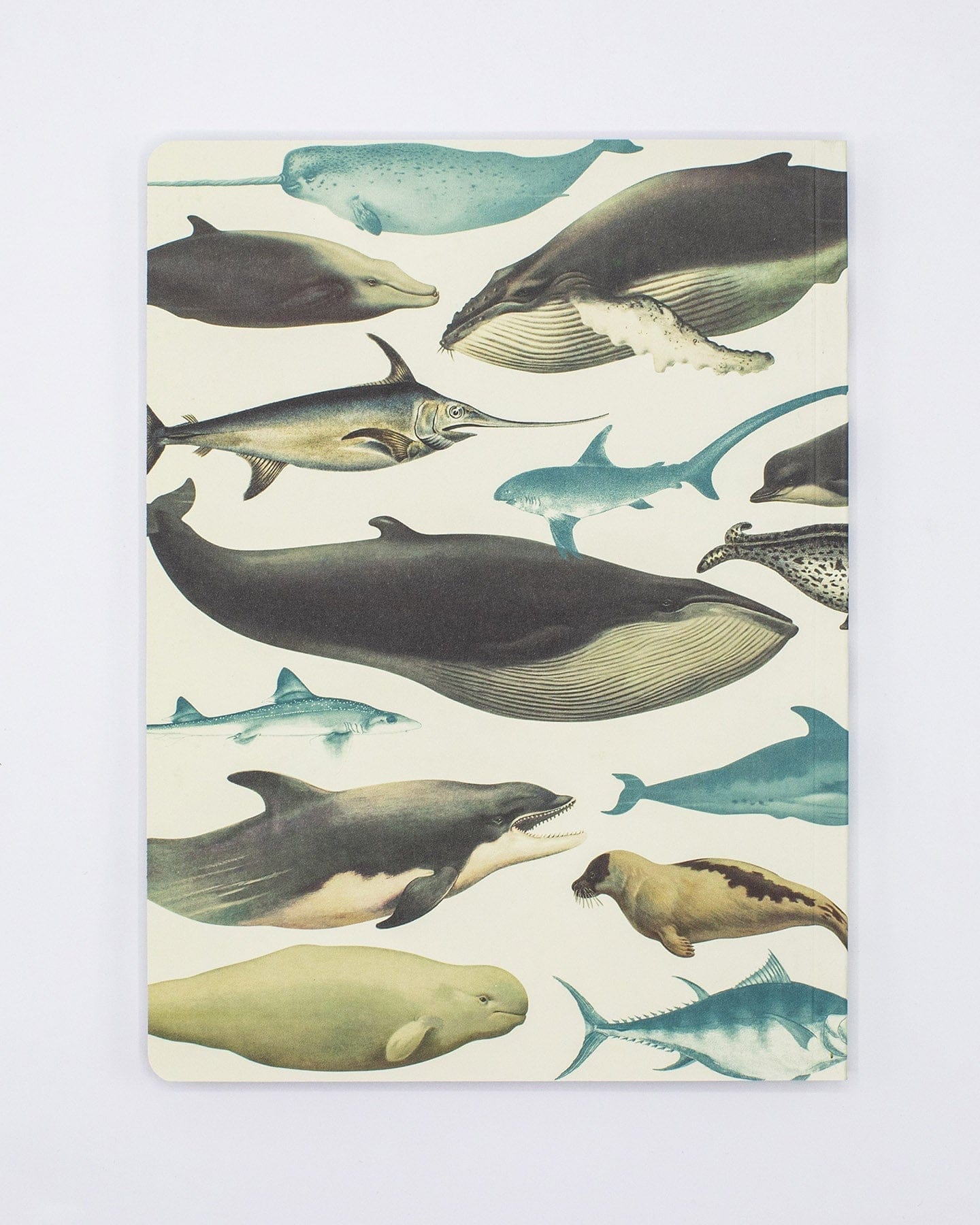 Whales & Seals Softcover Notebook - Lined - Image 2