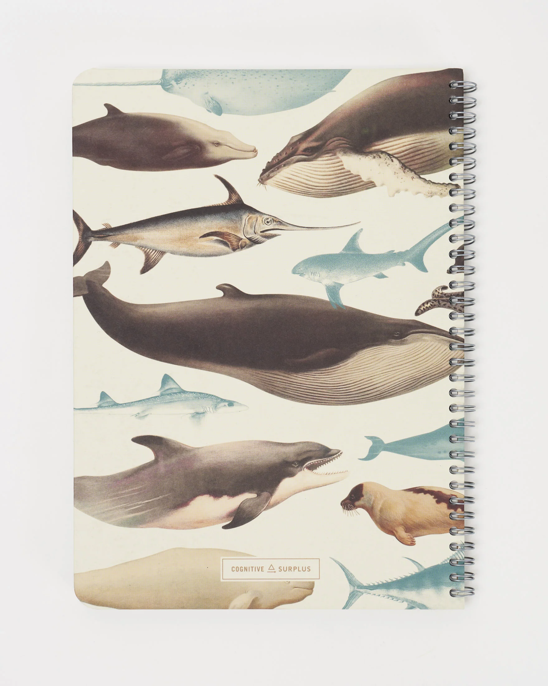 Whales, Sharks & Seals Spiral Notebook - Image 2