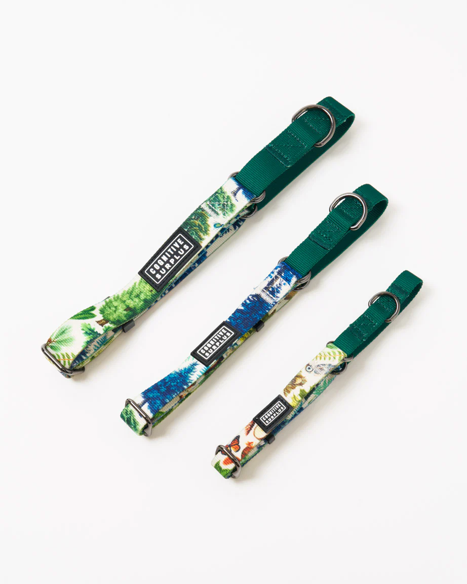 Woodland Forest Eco Martingale Collar - Image 2