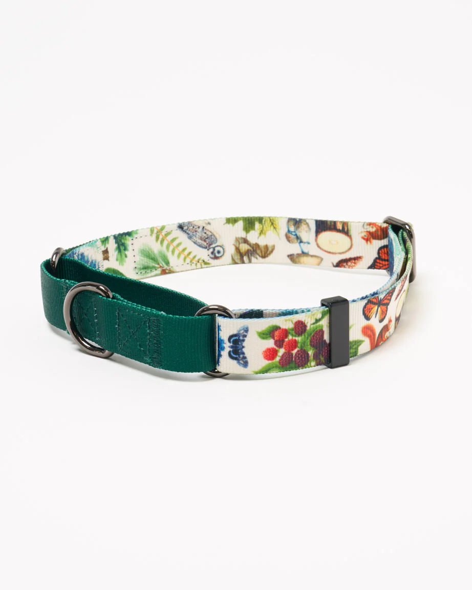 Woodland Forest Eco Martingale Collar - Image 3